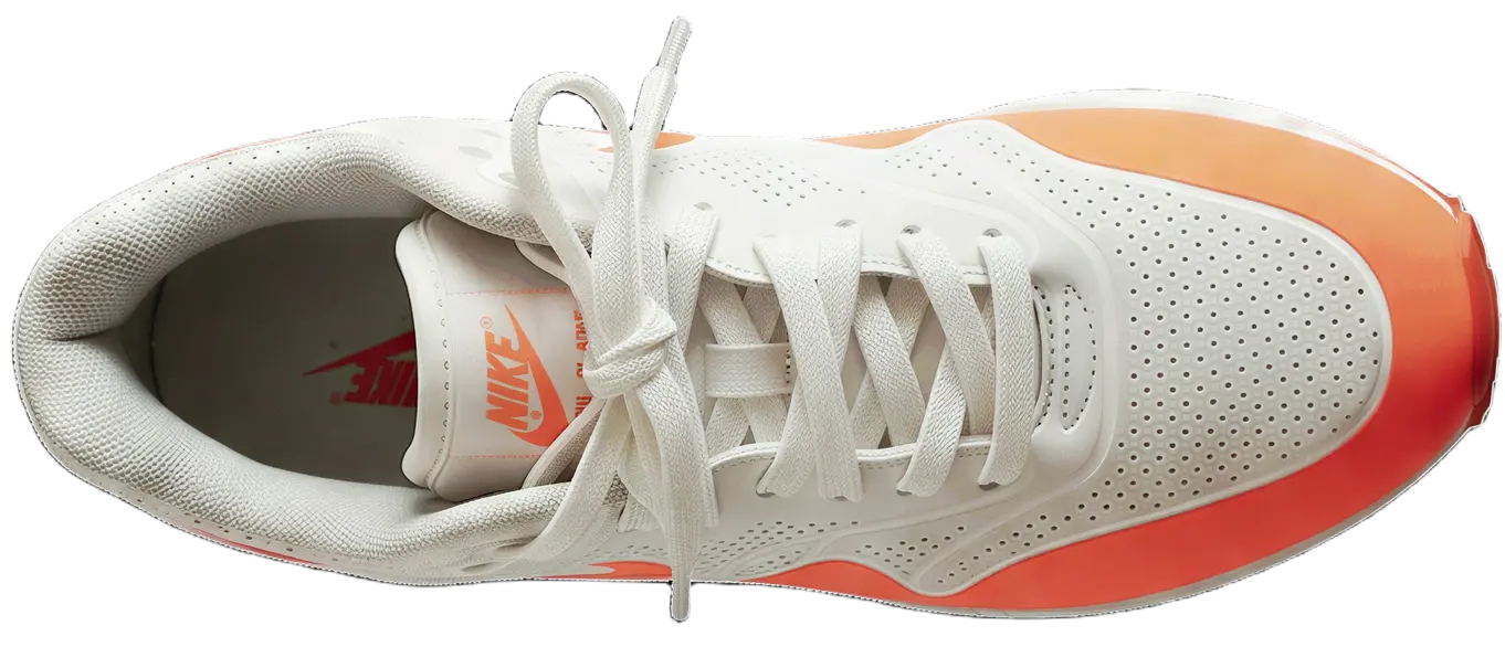 Shoe top view